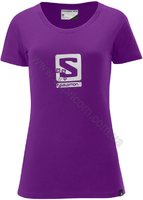 Футболка Salomon Mountlogo Tee жіноча