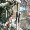 Блок-ролик Крок Арборист малий