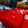 Рюкзак туристический Gregory TARGHEE 26