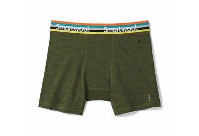 Термобілизна труси Smartwool Mens Merino Sport 150 Boxer Brief Boxed Moss green heater